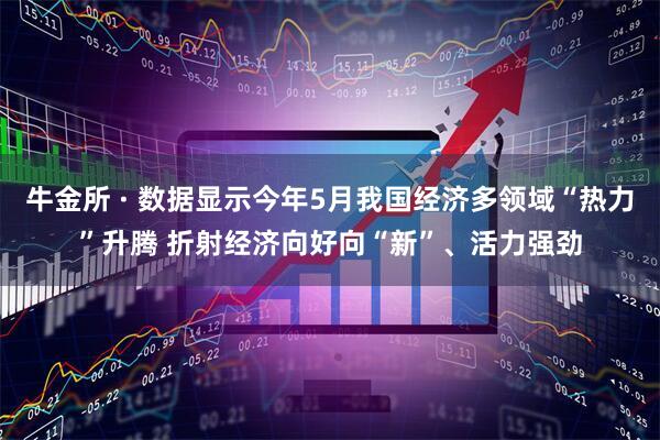 牛金所 · 数据显示今年5月我国经济多领域“热力”升腾 折射经济向好向“新”、活力强劲