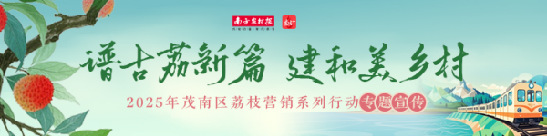 红腾网配资 销售额3.12亿元，人均增收6000元！茂南荔枝交出高质量答卷