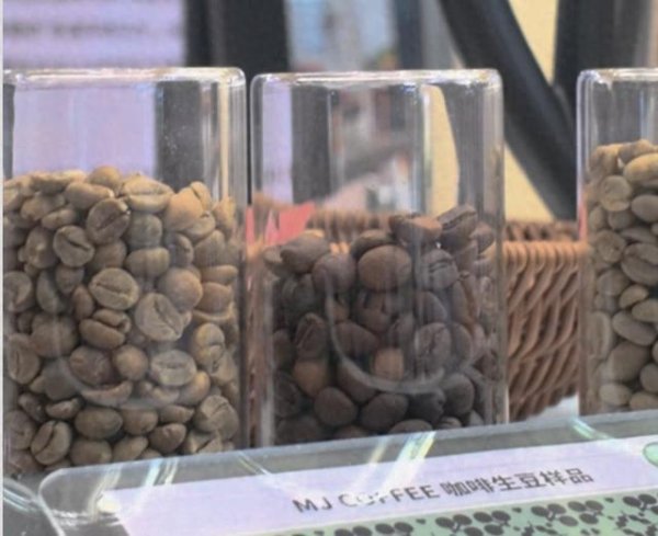 好牛优配 中国“豆子”︱中国咖啡，被世界看见