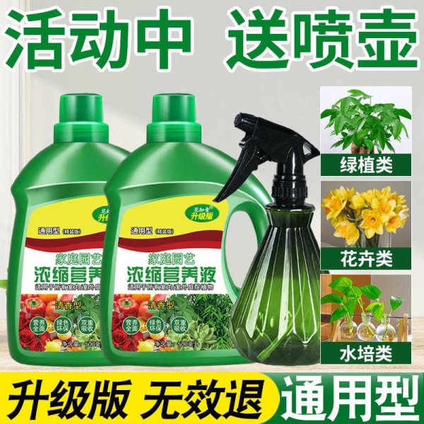 七星策略 拯救绿植杀手！这款万能营养液让盆栽起死回生