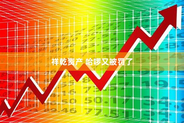 祥乾资产 哈啰又被罚了